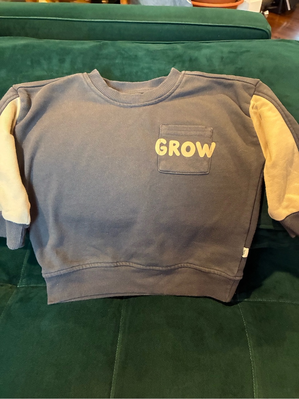 Easy-Peasy Kids 'GROW' Sweatshirt - Organic cotton